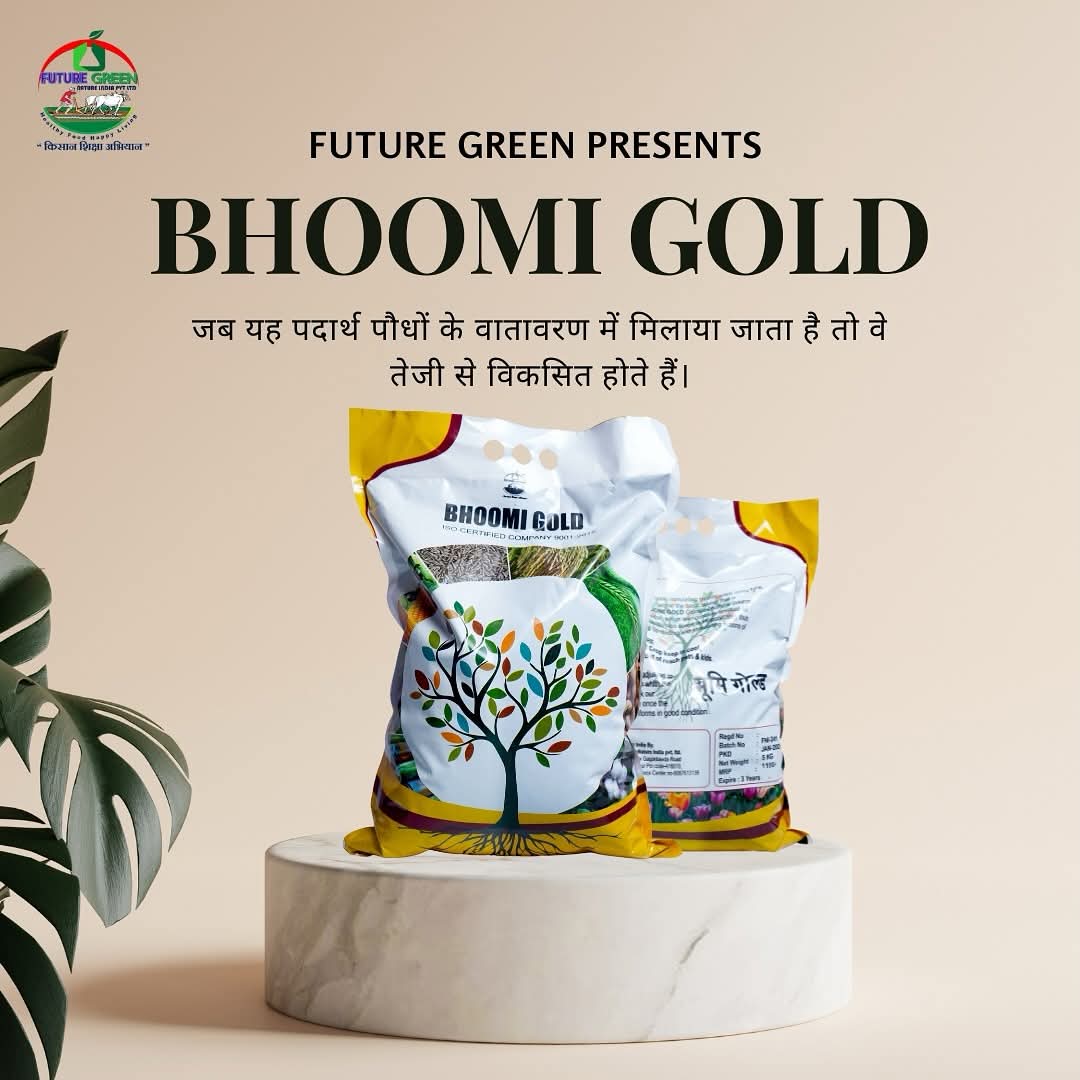 Bhoomi Gold